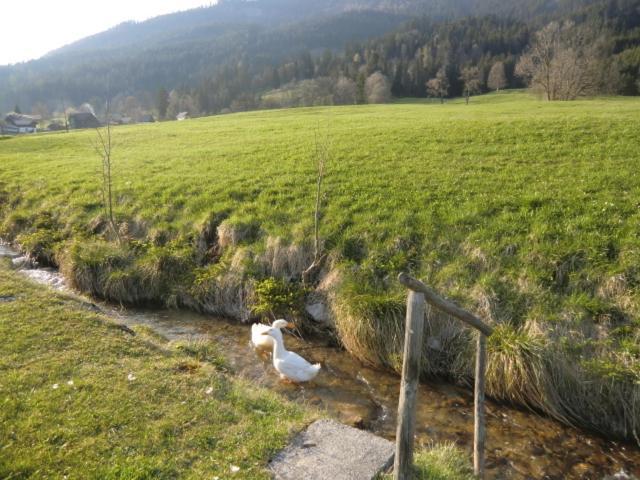 Bunzbauernhof Villa Bad Mitterndorf Exterior foto